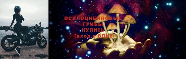трава Костерёво