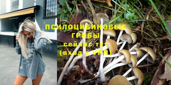 трава Костерёво